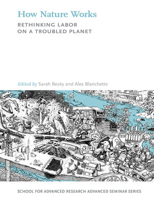 cover image of How Nature Works